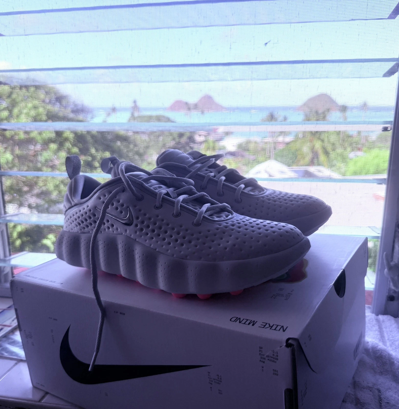 Shoes Nike