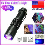 UV Ultra Violet Flashlight Handheld Blacklight Small 395nm Mini Light