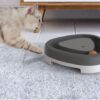 Interactive Cat Toy - Rotating Teaser Turntable