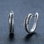 Copper Inlaid Zircon Women's Earrings Popular