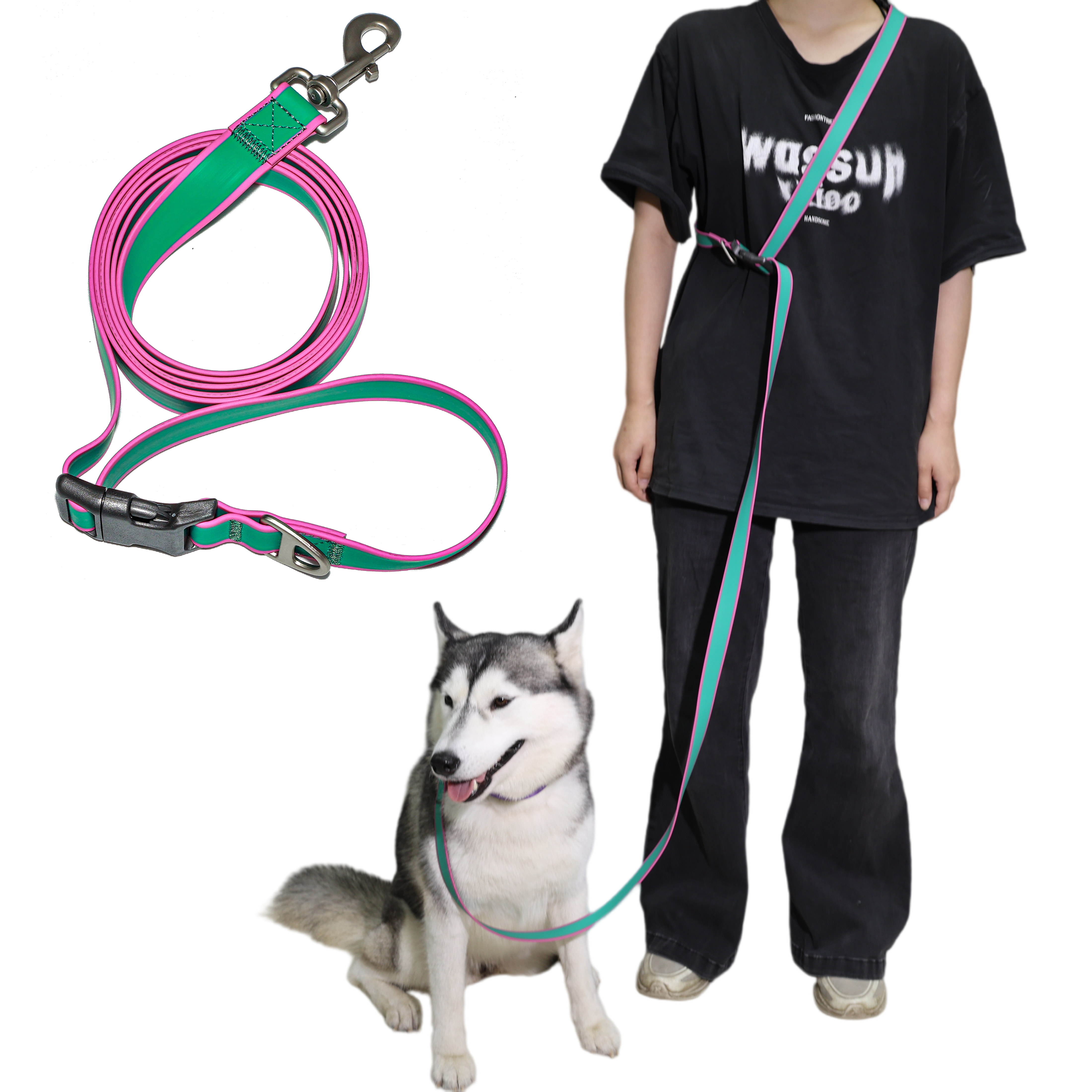 Multifunctional Dog Leash, Purple-Green