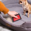 Mini Pet Hair Remover Reusable Advanced Removal Tool for Couch
