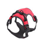Reflective Vest Dog Harness & Leash Set